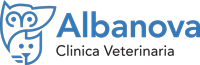 Logo Albanova